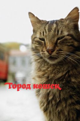 Город кошек 2016