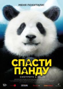 Спасти панду 2020